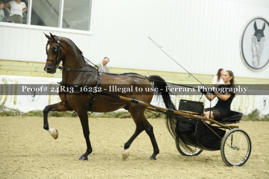 Proof 24R13_16252