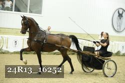 24R13_16252 proof