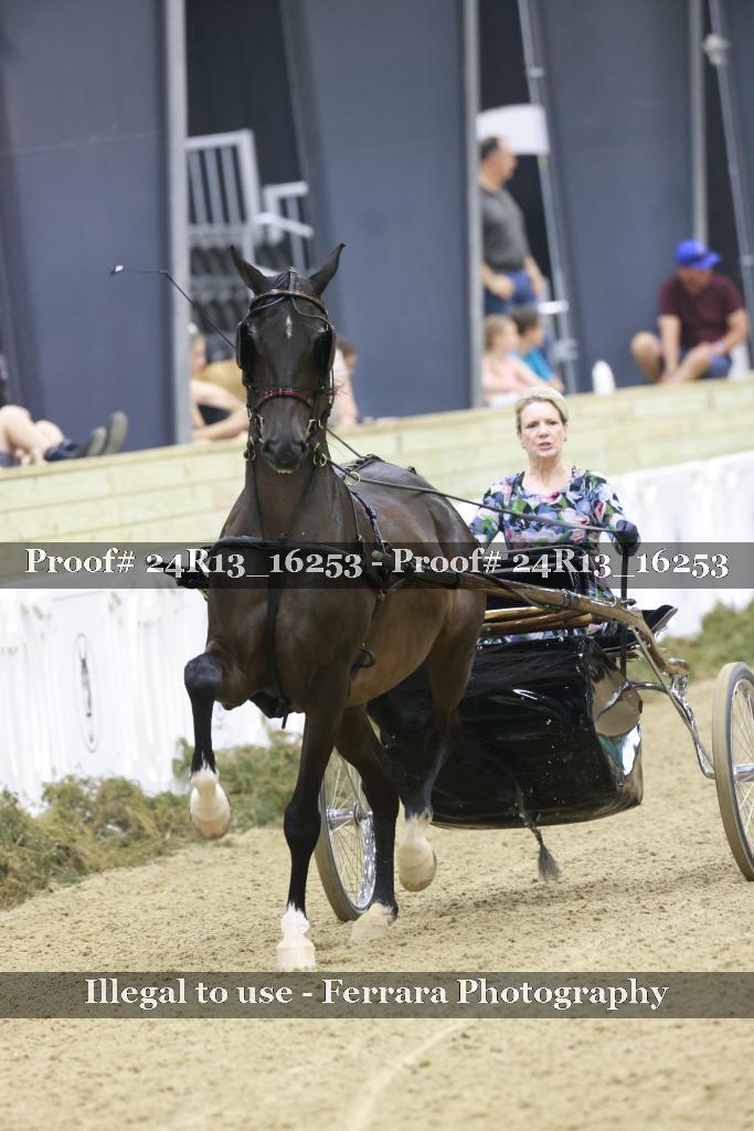 Proof 24R13_16253