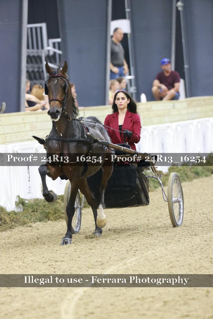 Proof 24R13_16254