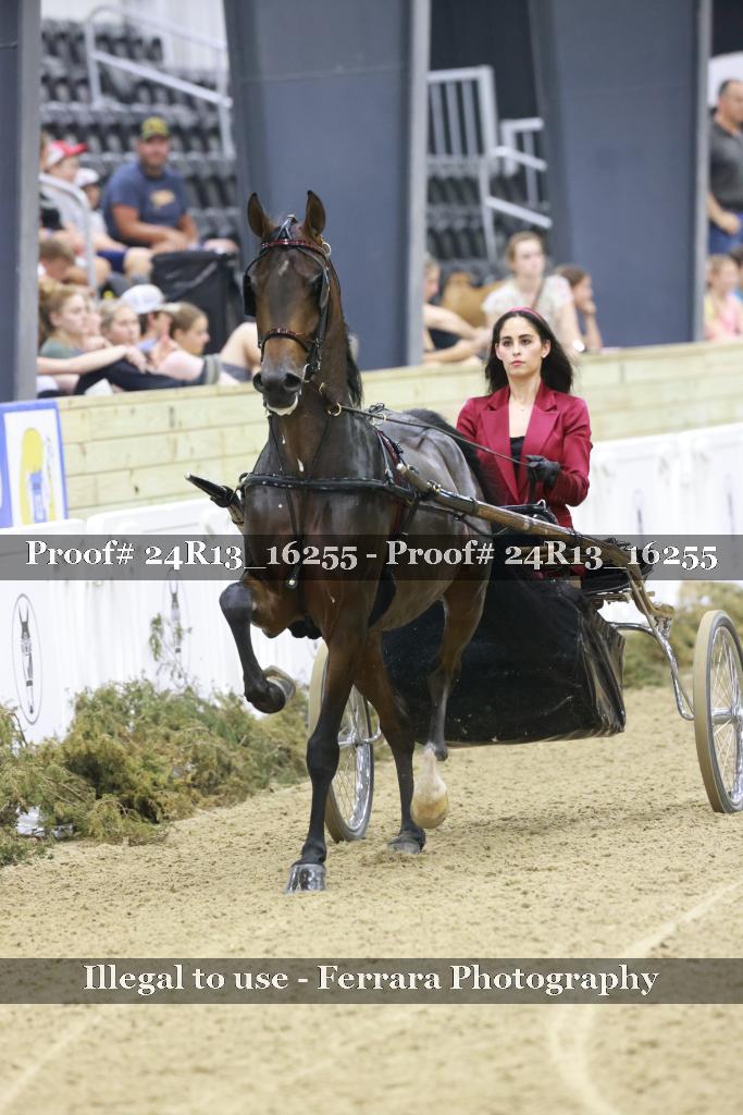 Proof 24R13_16255