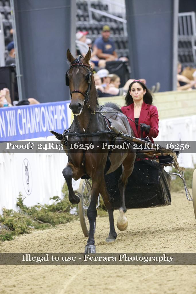 Proof 24R13_16256