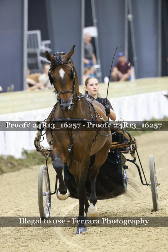 Proof 24R13_16257