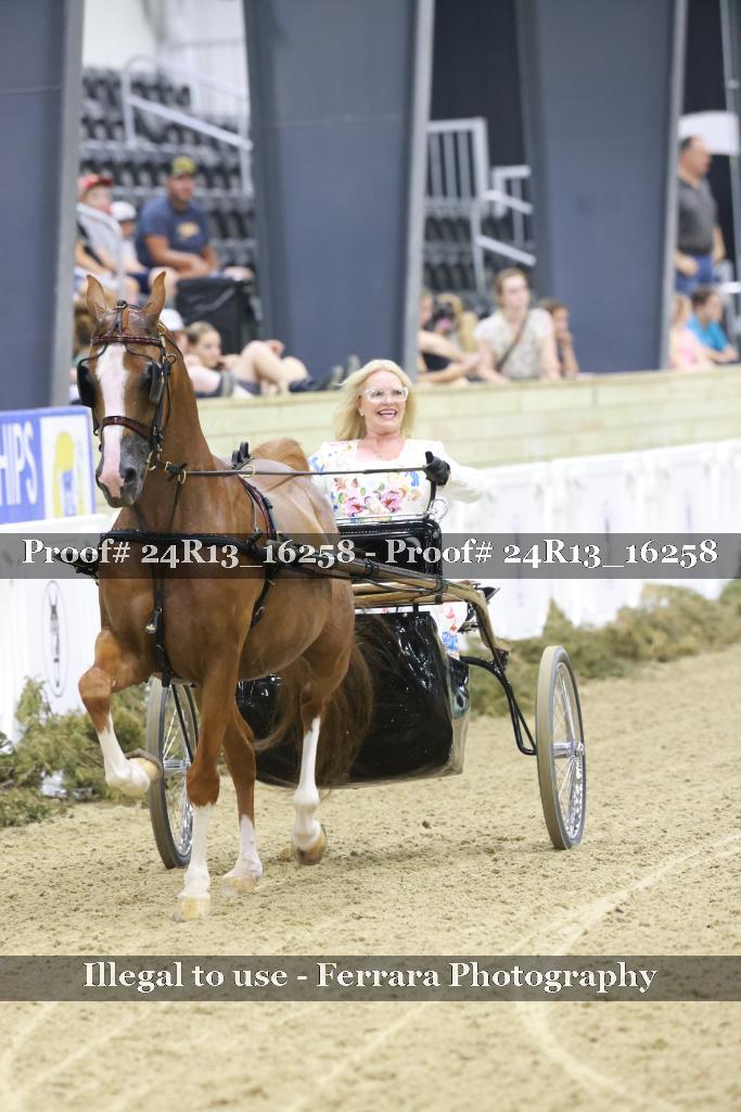 Proof 24R13_16258