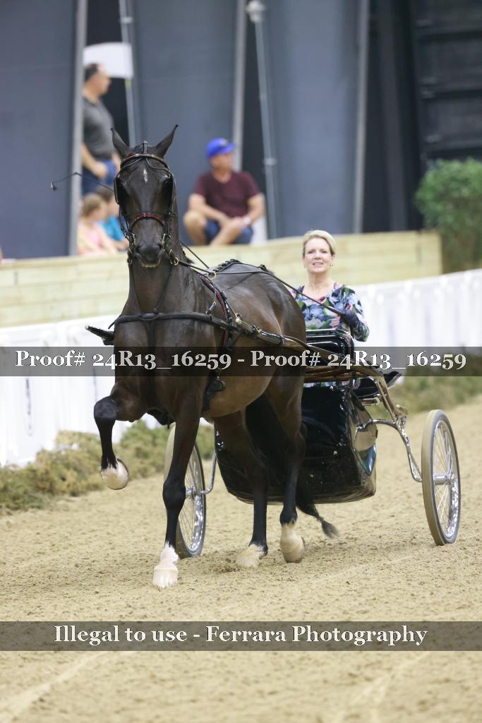 Proof 24R13_16259