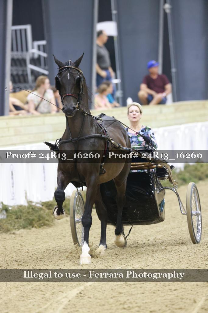 Proof 24R13_16260