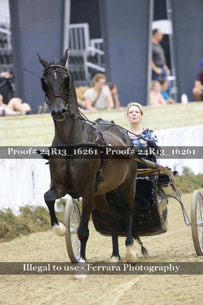 Proof 24R13_16261