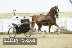 24R13_16262 proof
