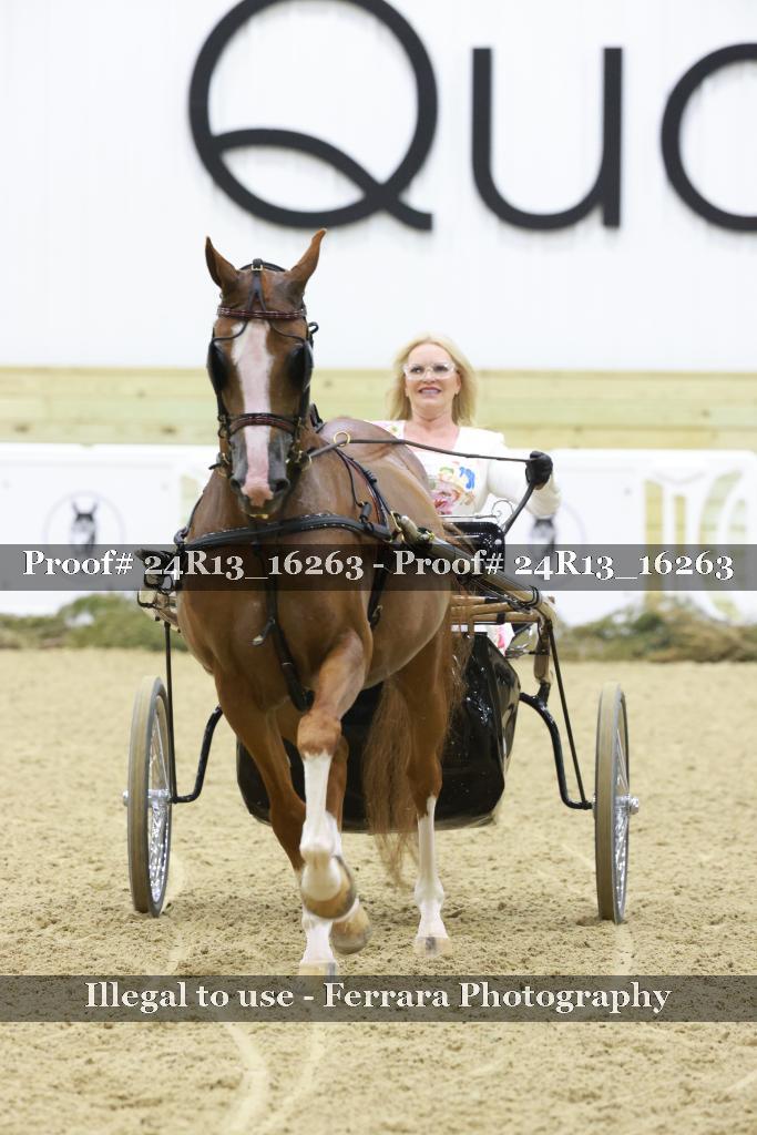 Proof 24R13_16263