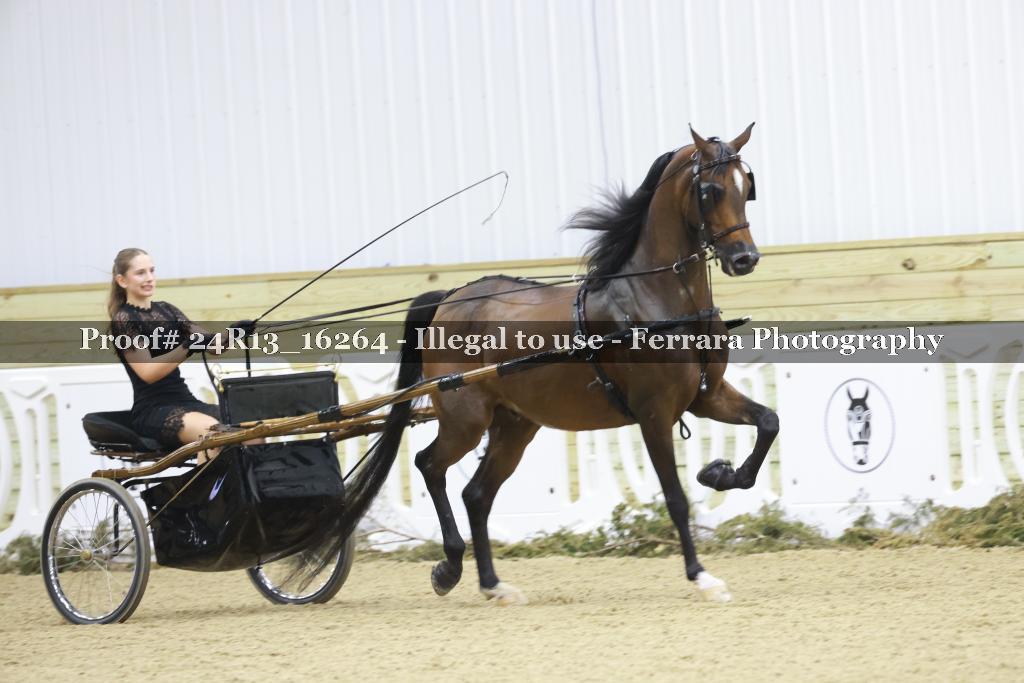 Proof 24R13_16264