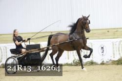 24R13_16264 proof