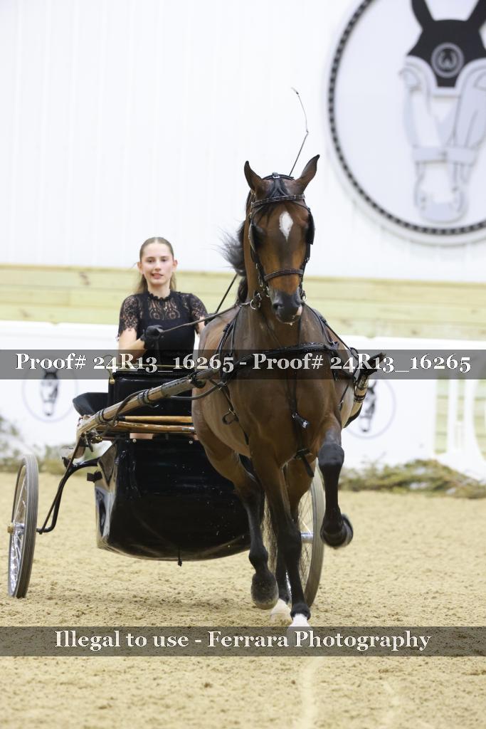 Proof 24R13_16265