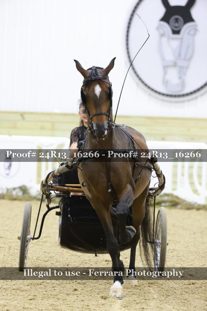 Proof 24R13_16266