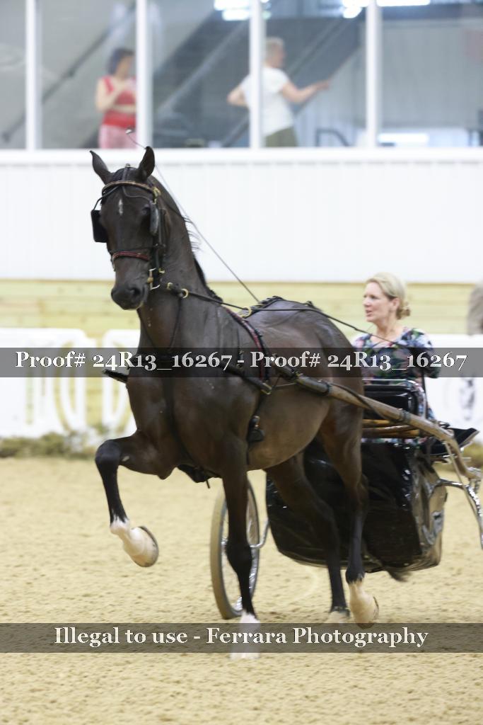 Proof 24R13_16267
