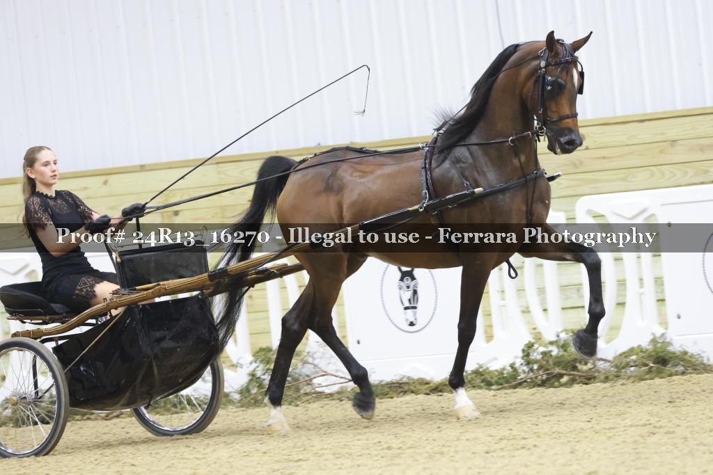 Proof 24R13_16270