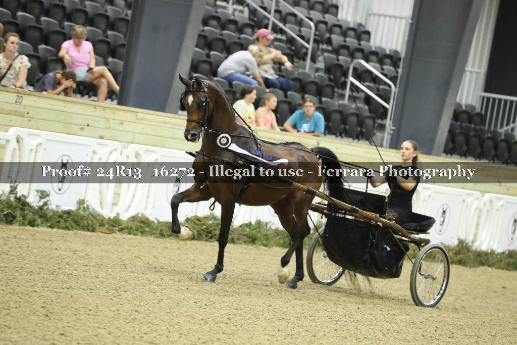 Proof 24R13_16272