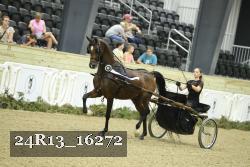 24R13_16272 proof