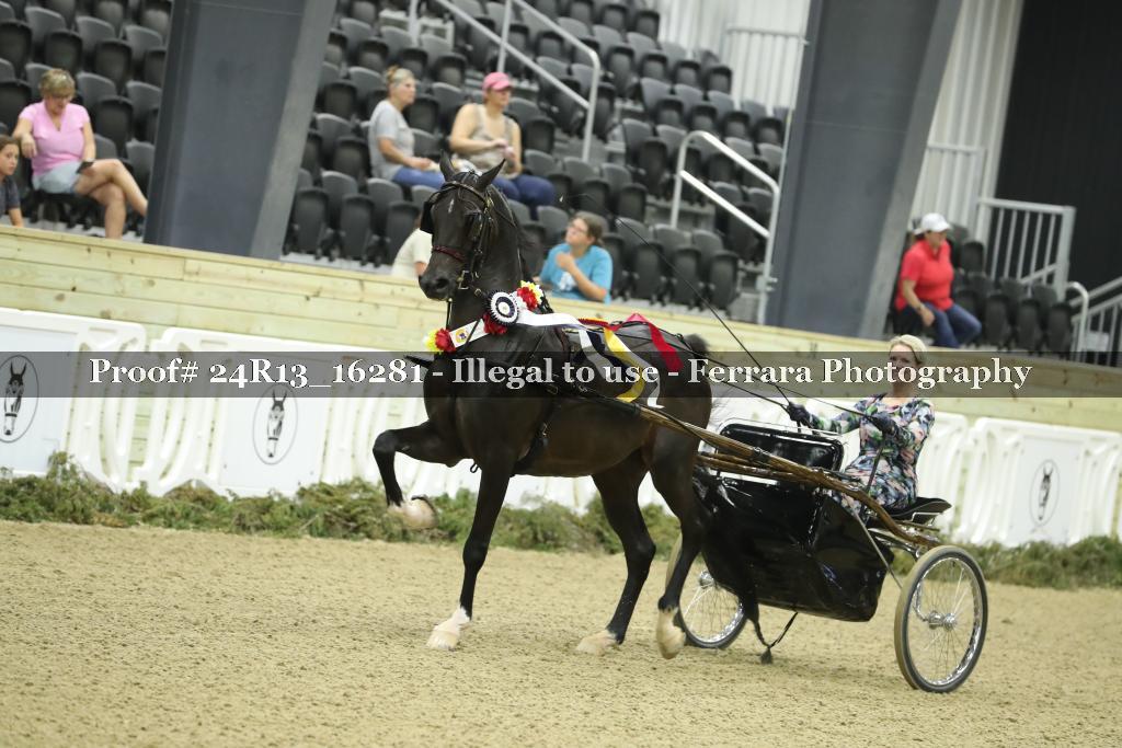 Proof 24R13_16281