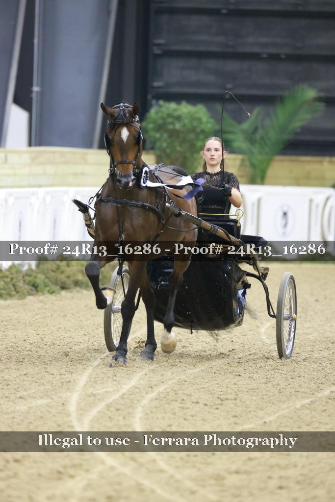 Proof 24R13_16286