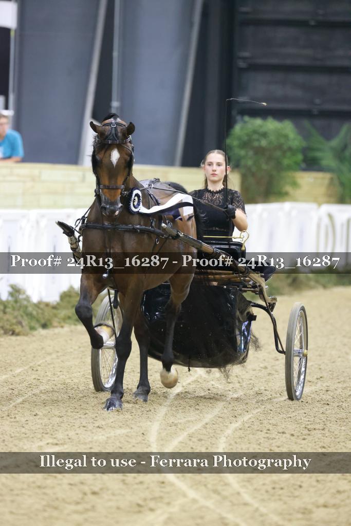 Proof 24R13_16287