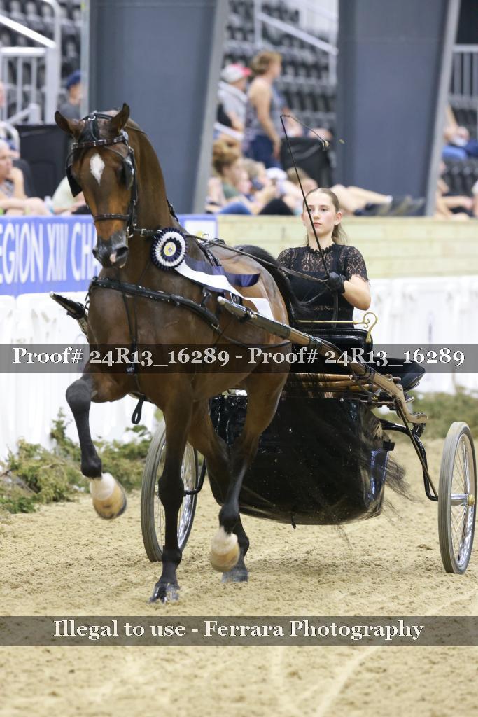 Proof 24R13_16289