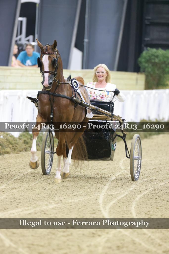 Proof 24R13_16290