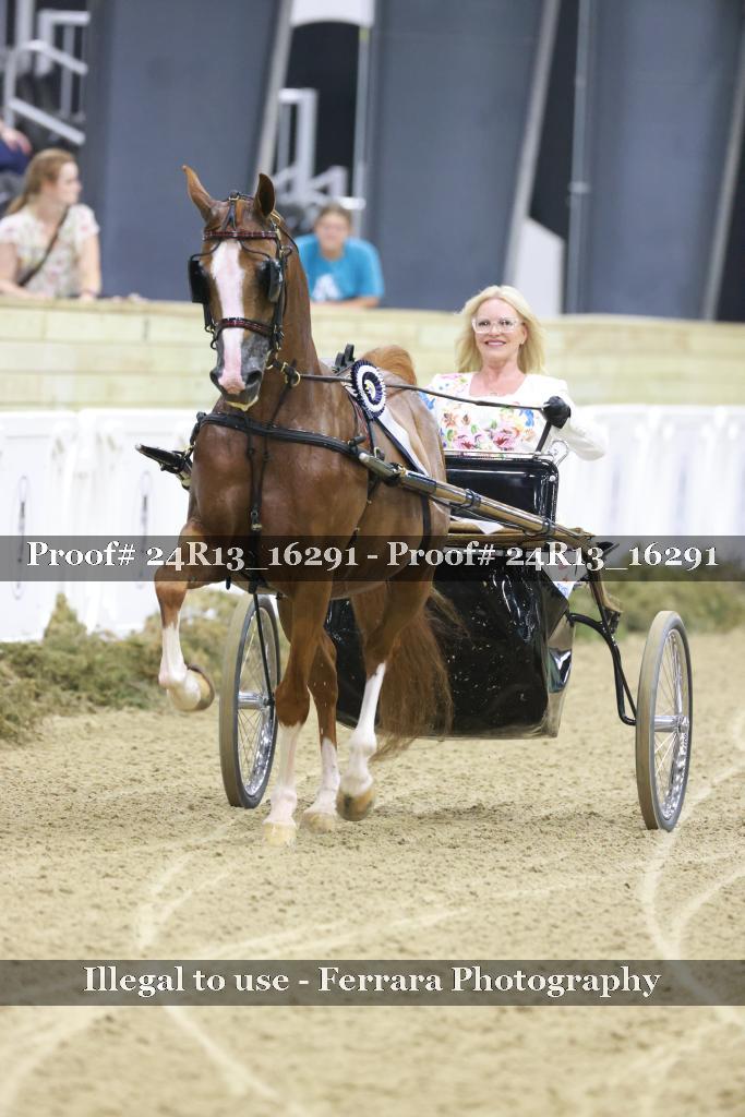 Proof 24R13_16291