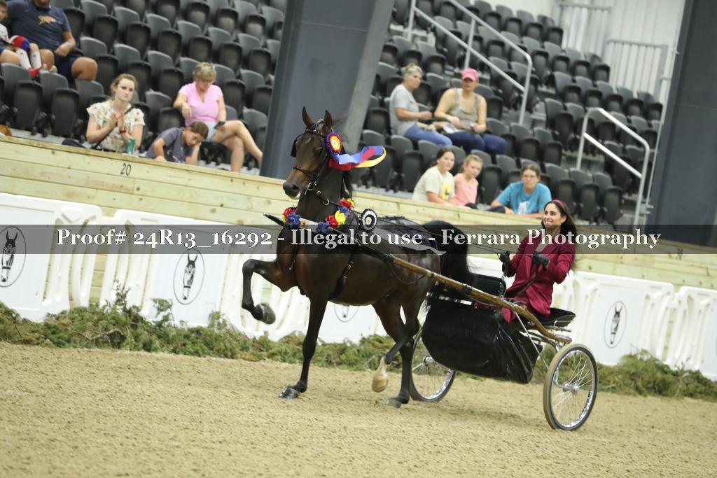 Proof 24R13_16292