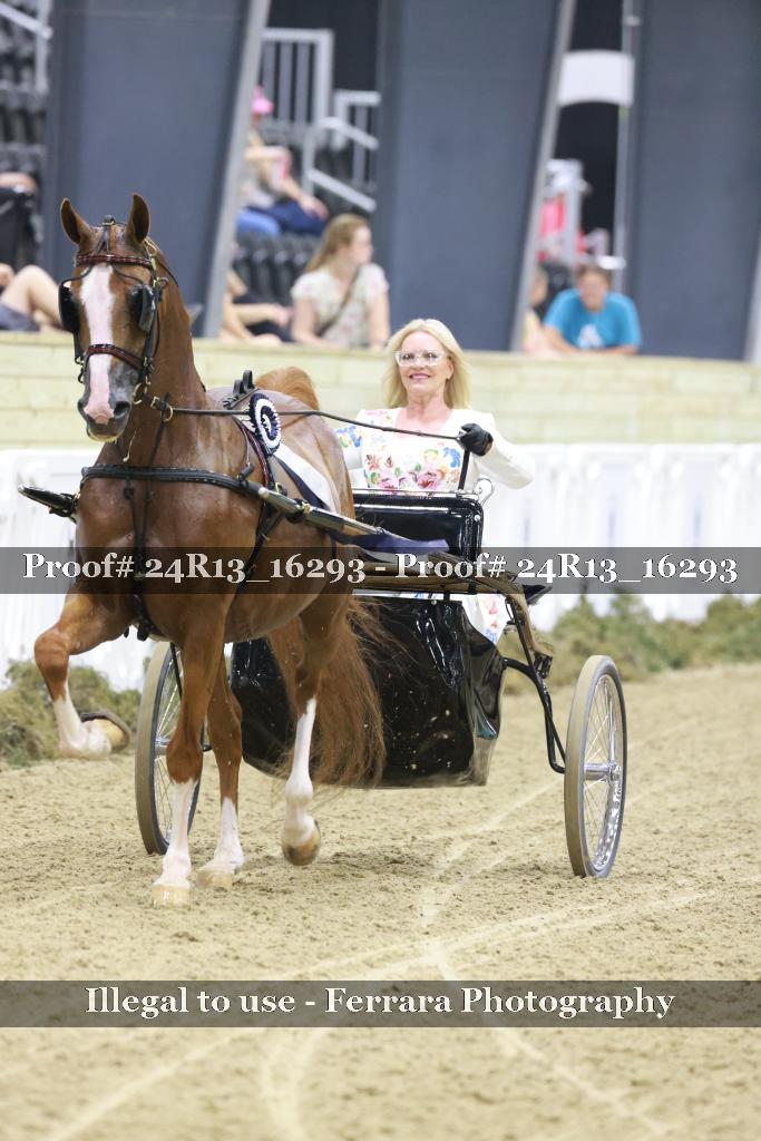 Proof 24R13_16293