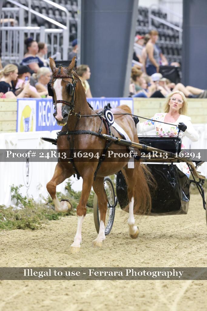 Proof 24R13_16294
