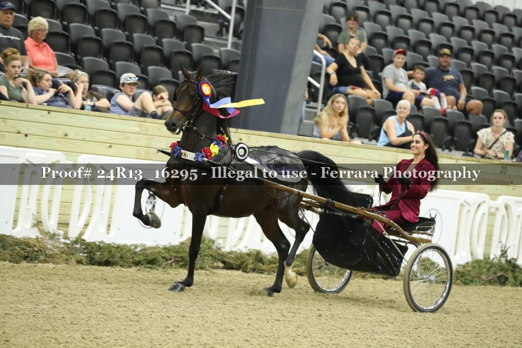 Proof 24R13_16295