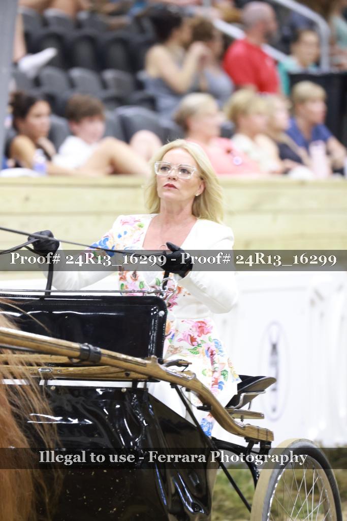 Proof 24R13_16299