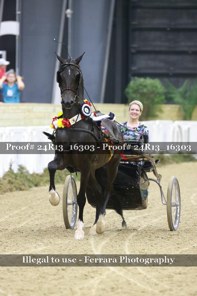 Proof 24R13_16303