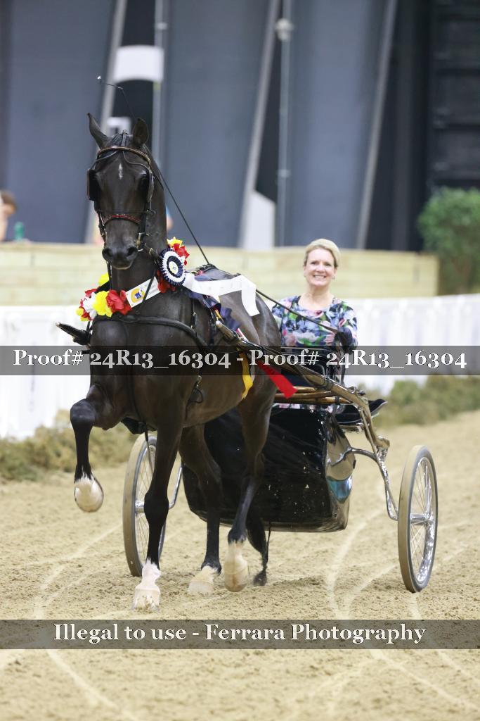 Proof 24R13_16304