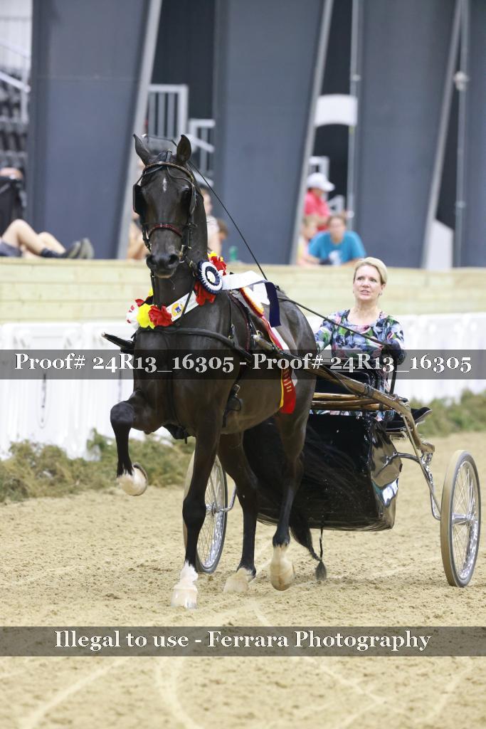 Proof 24R13_16305