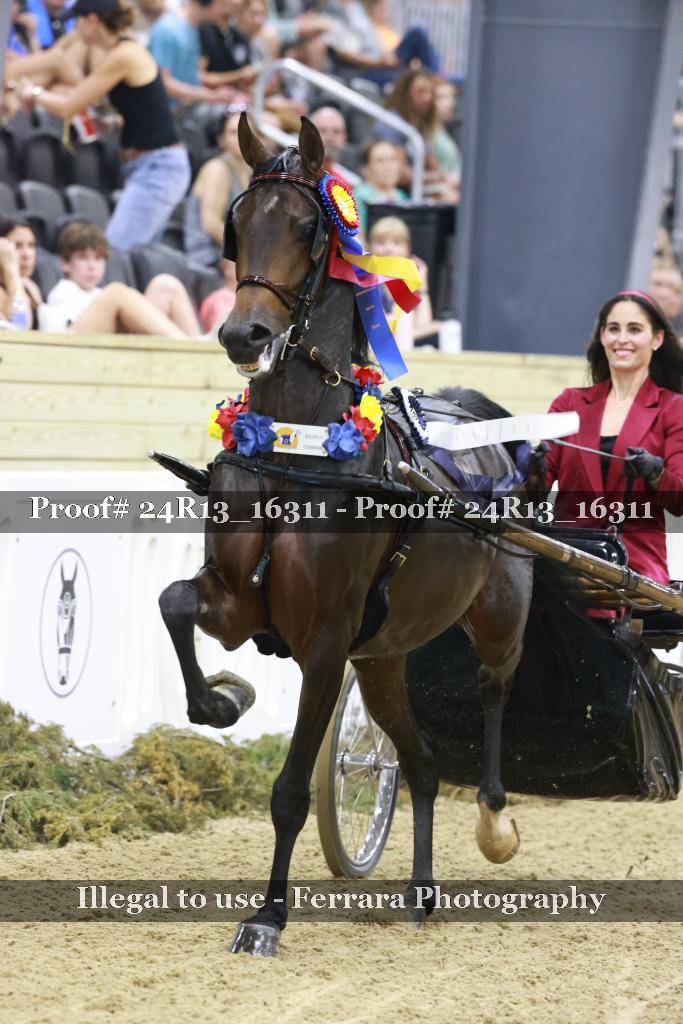 Proof 24R13_16311