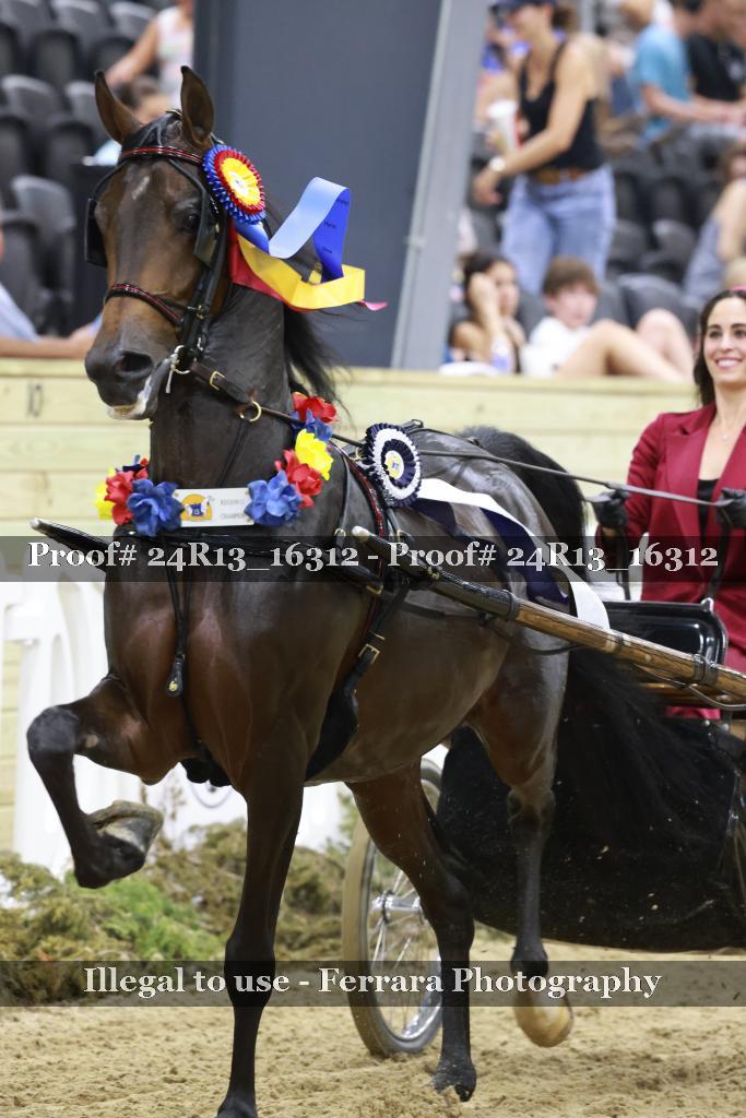 Proof 24R13_16312