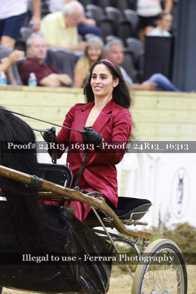 Proof 24R13_16313