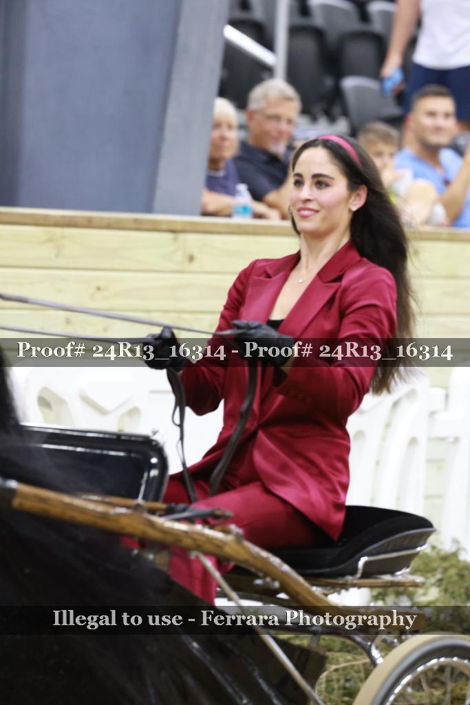 Proof 24R13_16314