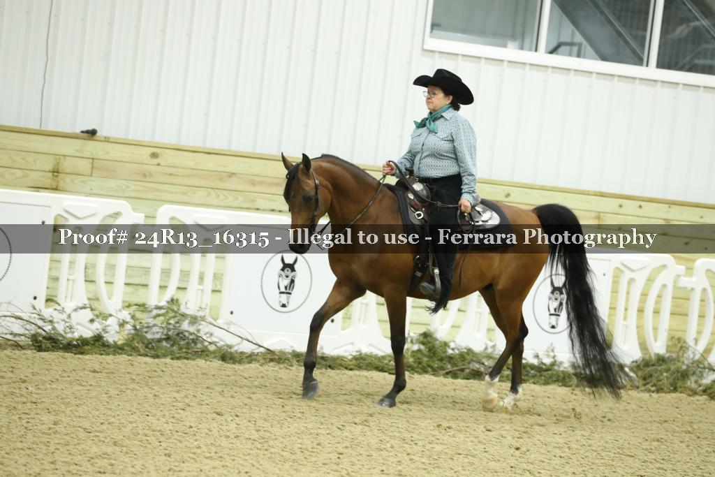 Proof 24R13_16315