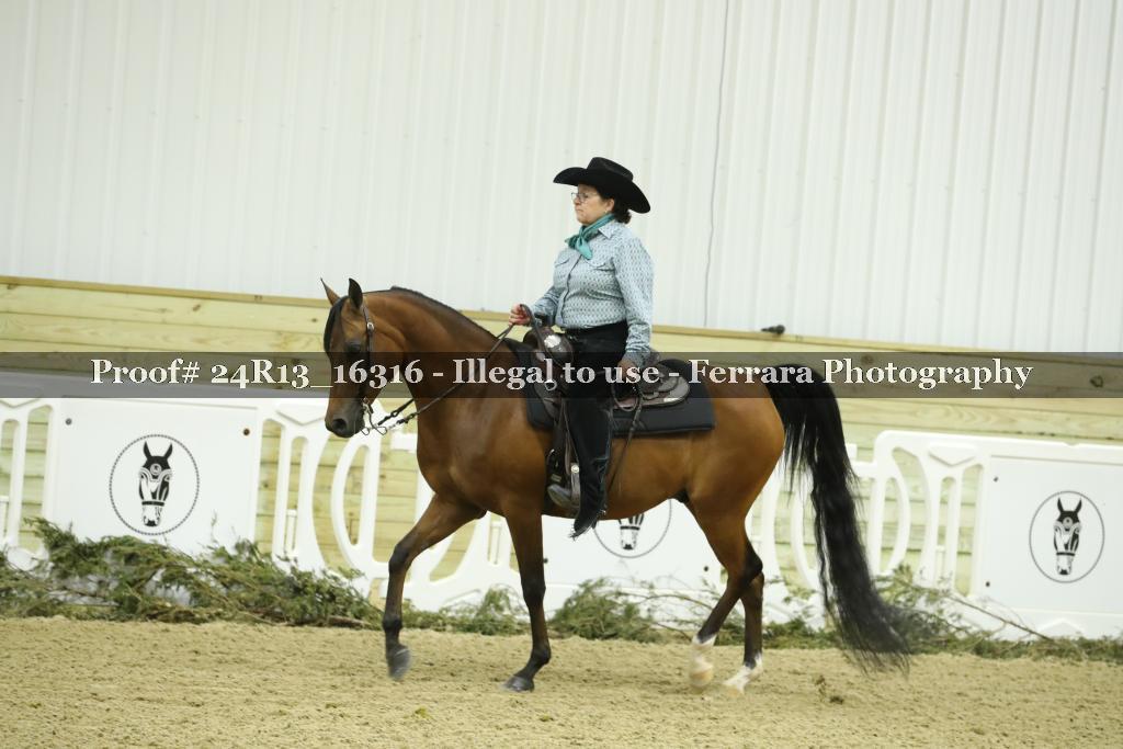 Proof 24R13_16316