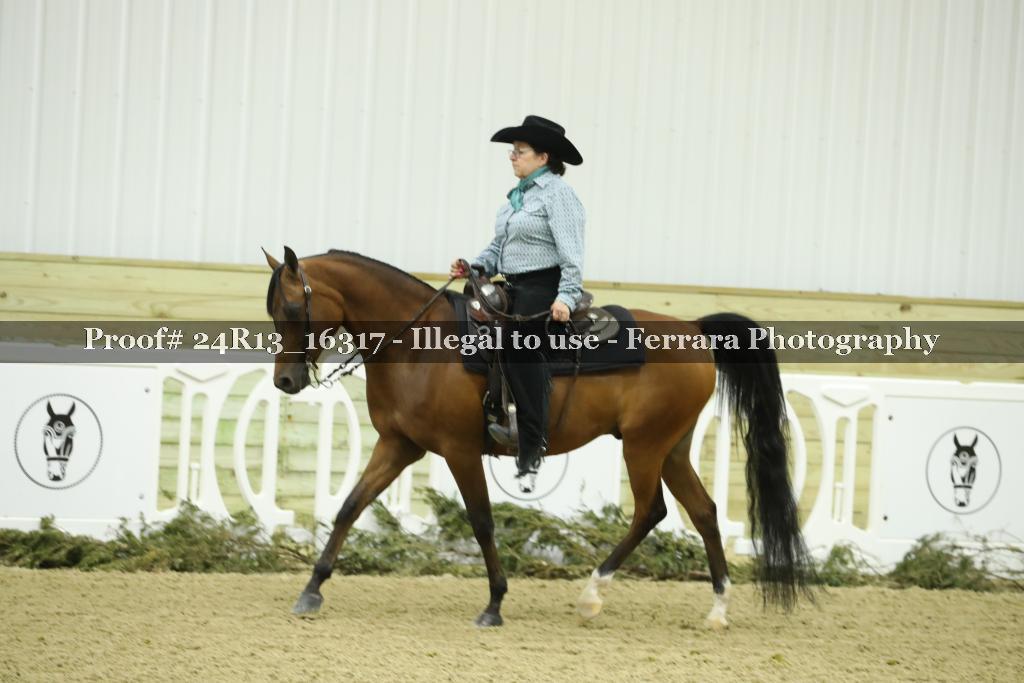 Proof 24R13_16317