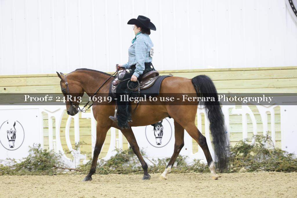 Proof 24R13_16319