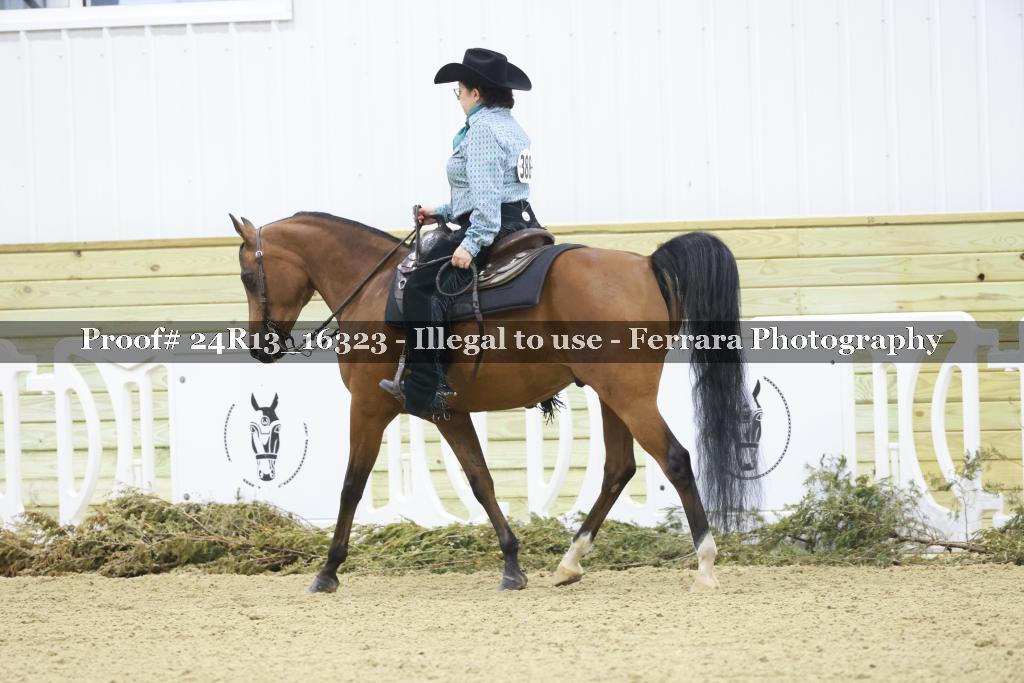 Proof 24R13_16323