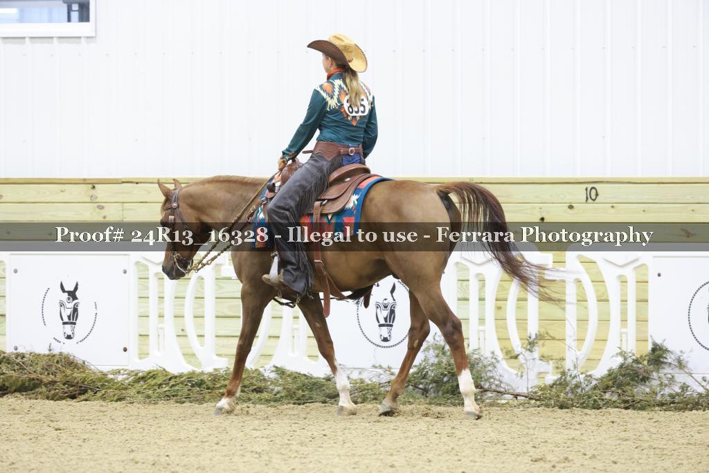 Proof 24R13_16328