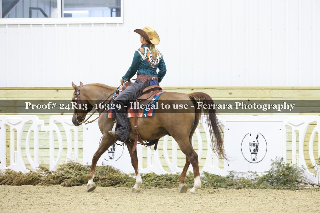 Proof 24R13_16329