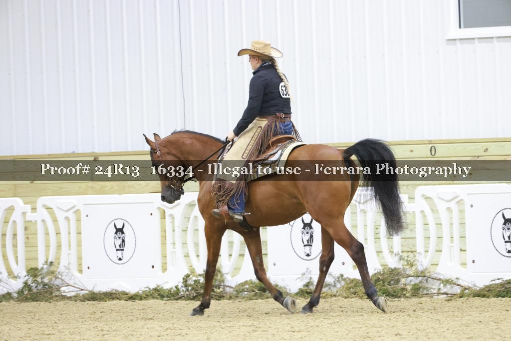 Proof 24R13_16334