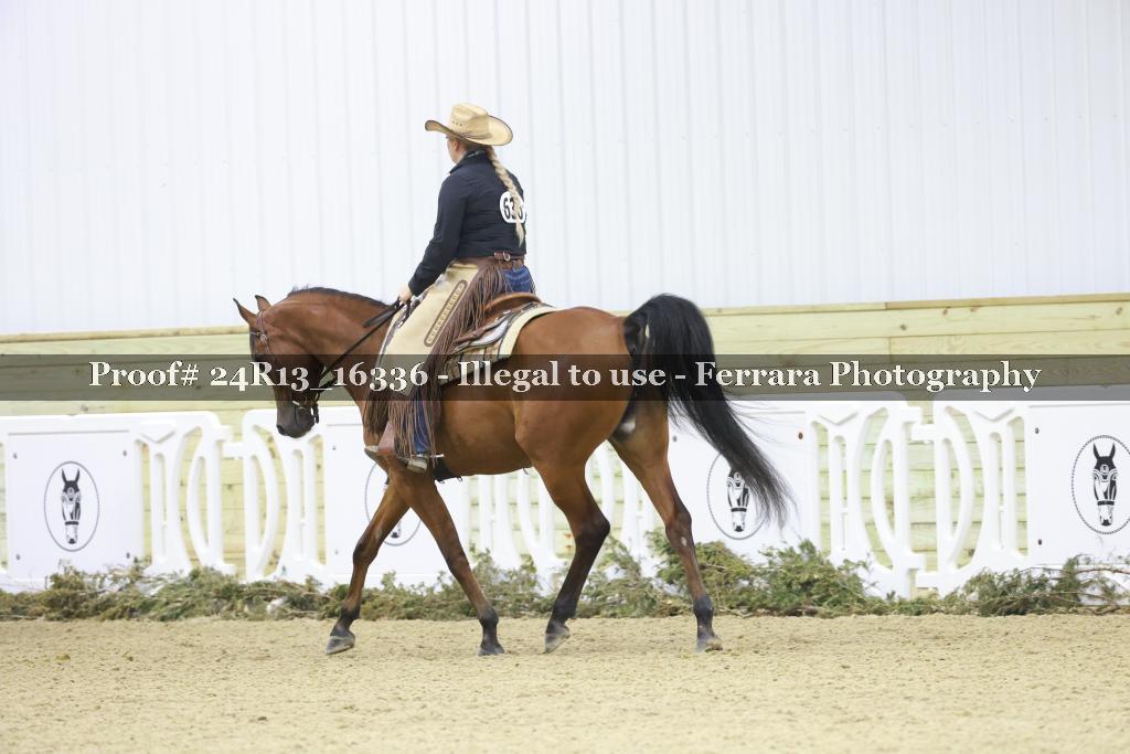 Proof 24R13_16336