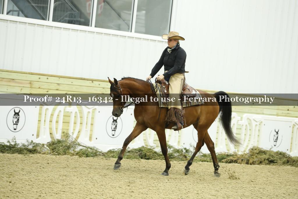 Proof 24R13_16342