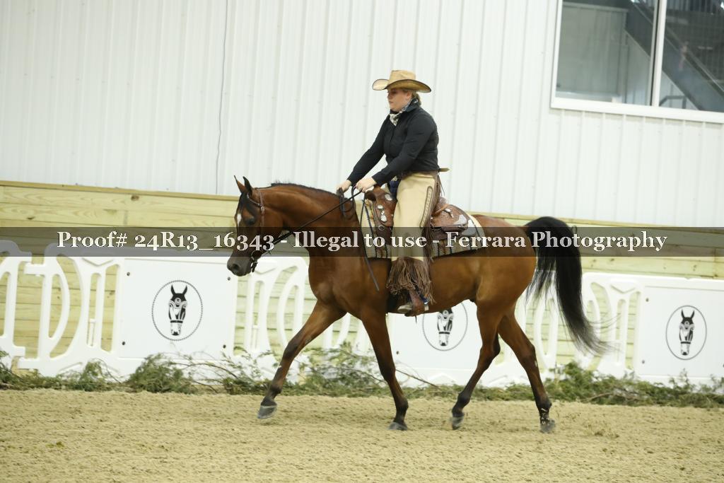 Proof 24R13_16343